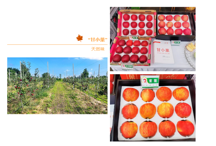 202309271695781726525993.png image.png