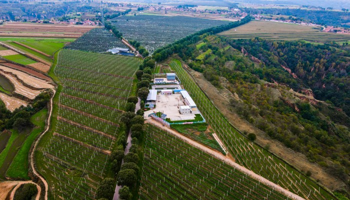 【國企改革深化提升行動】守正創(chuàng)新 精業(yè)篤行 在聚焦高質(zhì)量發(fā)展中全面提升董事會建設運行水平