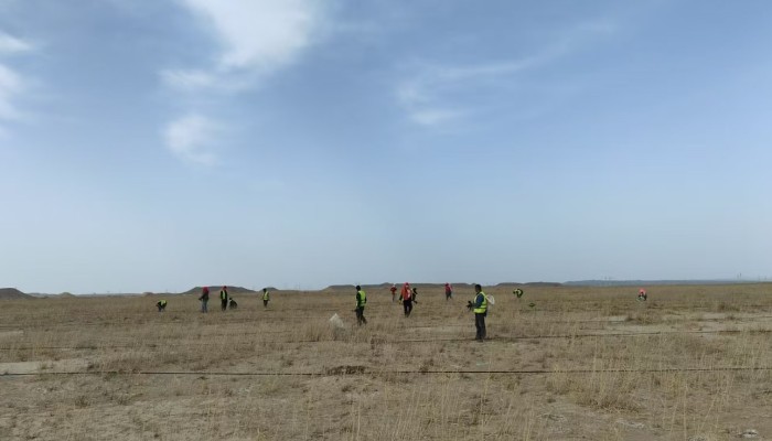 【“三抓三促”行動】不負春日好時光，全力沖鋒“三北”建設(shè)