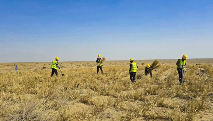 迎風奮進 實干爭先--酒泉市黑河中游防沙治沙林草綜合治理項目建設(shè)按下“快進鍵”