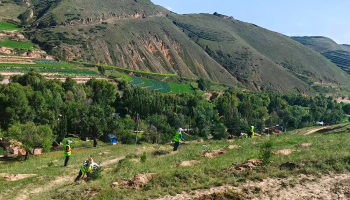 臨洮生態(tài)修復項目開啟“雙線作戰(zhàn)”模式