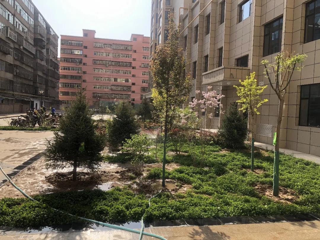 1588928496133661.jpg 微信圖片_20200508164628.jpg